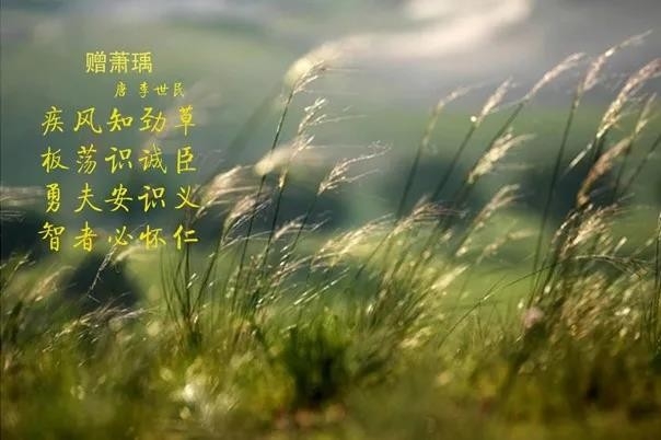 ţ | ٣ǲǾݣ