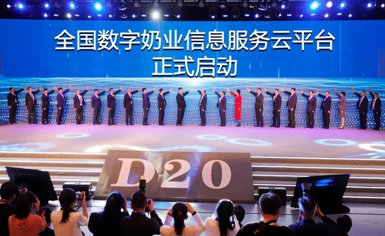 ţйҵ20ǿױᣬйҵˣ